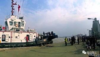 码头电影在线观看,在线观影新体验，尽享光影盛宴